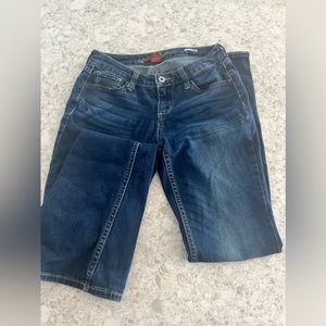 Vintage 5 pocket Arizona Bootcut Jeans Size 3 or womens 4